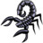 黑蝎 black scorpion